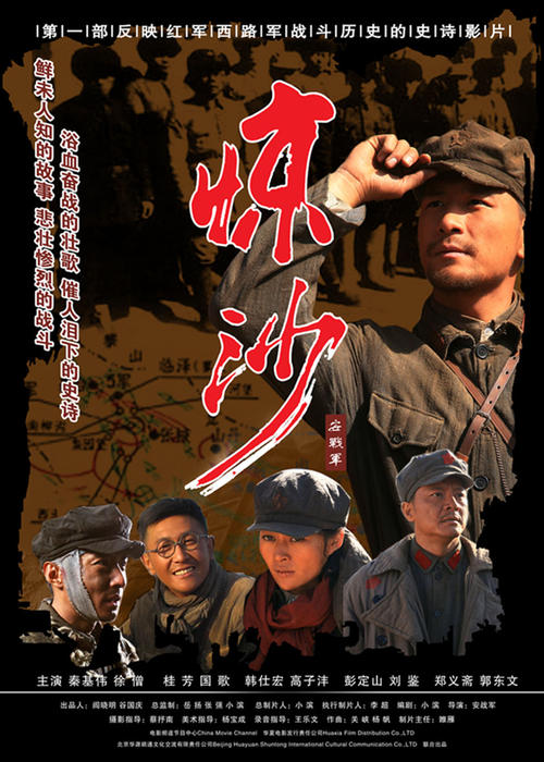 购买假新布伦瑞克省驾驶证